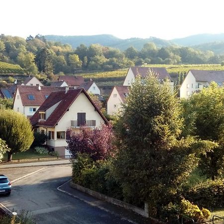 Hotel Marcia Donatti - A L'Ombre Des Coteaux Sao Paulo Kaysersberg-Vignoble Zewnętrze zdjęcie