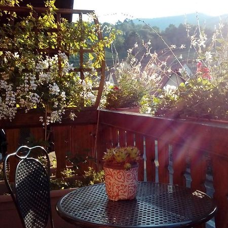 Hotel Marcia Donatti - A L'Ombre Des Coteaux Sao Paulo Kaysersberg-Vignoble Zewnętrze zdjęcie