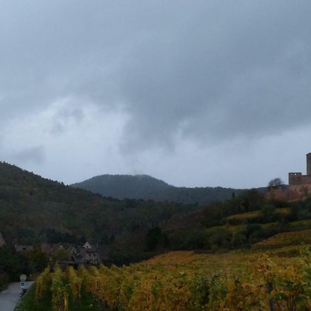 Hotel Marcia Donatti - A L'Ombre Des Coteaux Sao Paulo Kaysersberg-Vignoble Zewnętrze zdjęcie