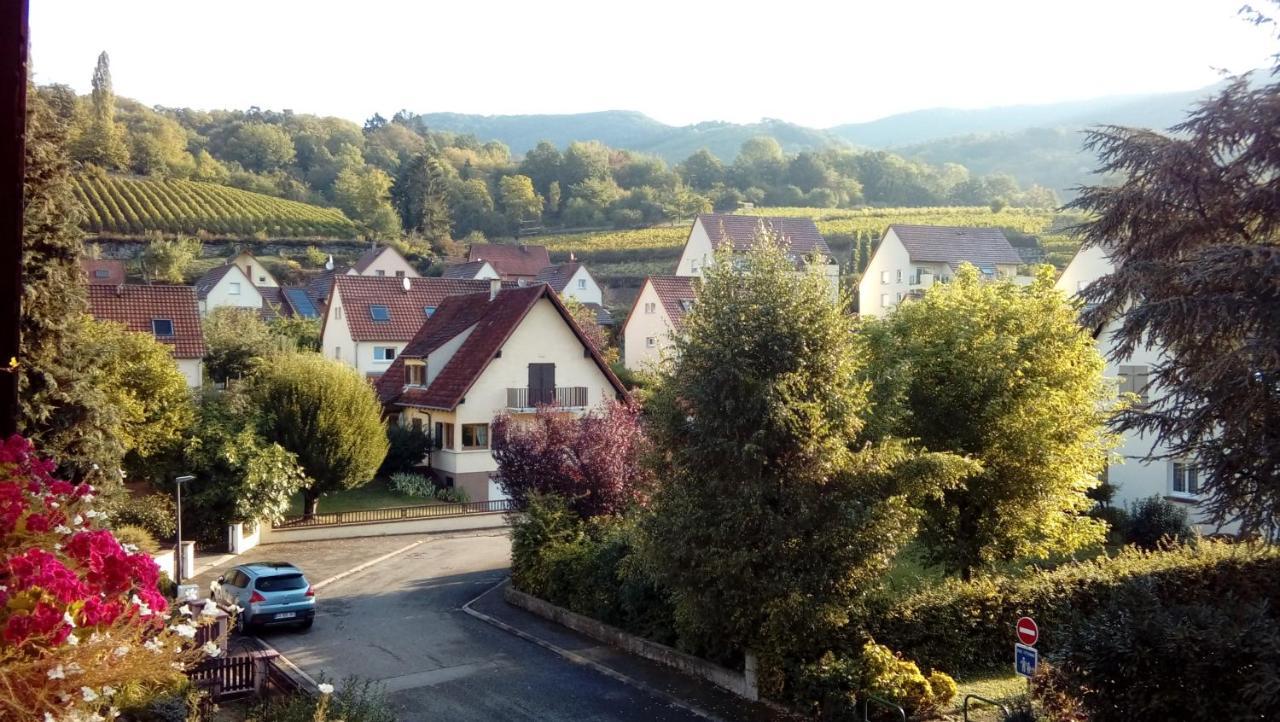 Hotel Marcia Donatti - A L'Ombre Des Coteaux Sao Paulo Kaysersberg-Vignoble Zewnętrze zdjęcie