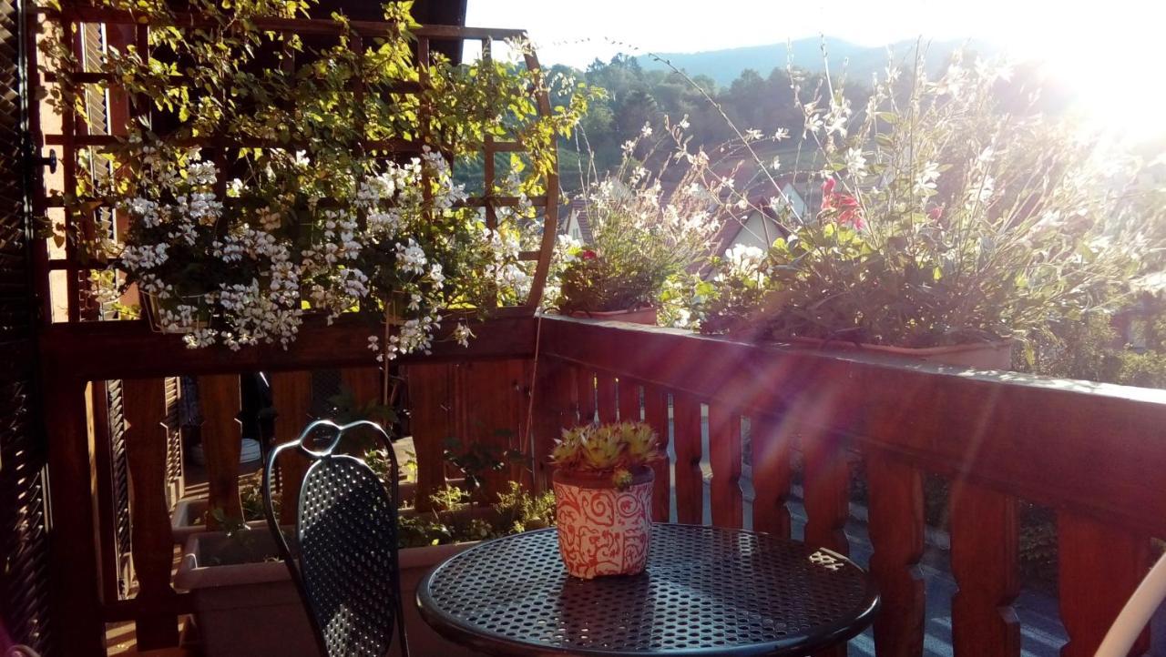 Hotel Marcia Donatti - A L'Ombre Des Coteaux Sao Paulo Kaysersberg-Vignoble Zewnętrze zdjęcie