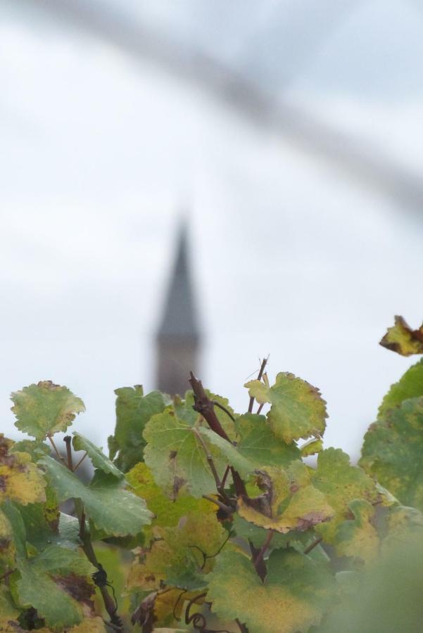 Hotel Marcia Donatti - A L'Ombre Des Coteaux Sao Paulo Kaysersberg-Vignoble Zewnętrze zdjęcie