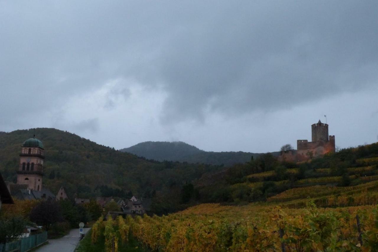 Hotel Marcia Donatti - A L'Ombre Des Coteaux Sao Paulo Kaysersberg-Vignoble Zewnętrze zdjęcie