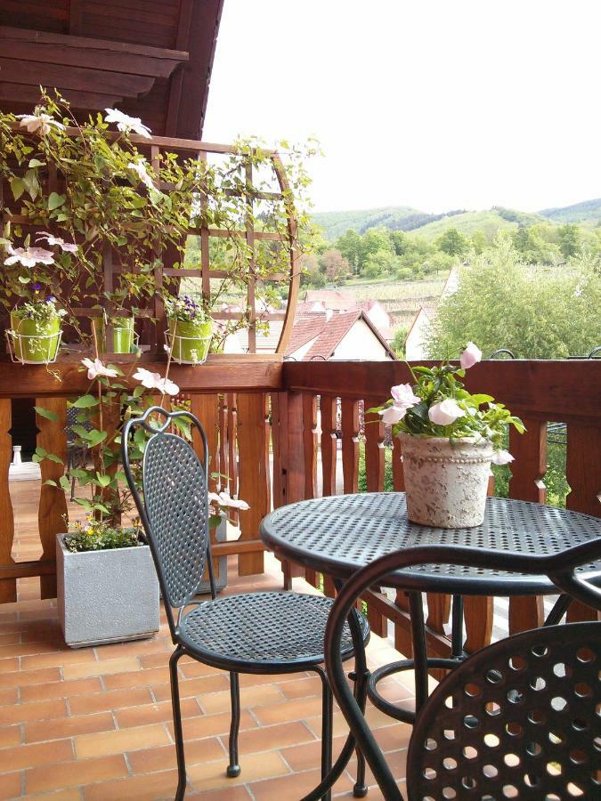 Hotel Marcia Donatti - A L'Ombre Des Coteaux Sao Paulo Kaysersberg-Vignoble Zewnętrze zdjęcie