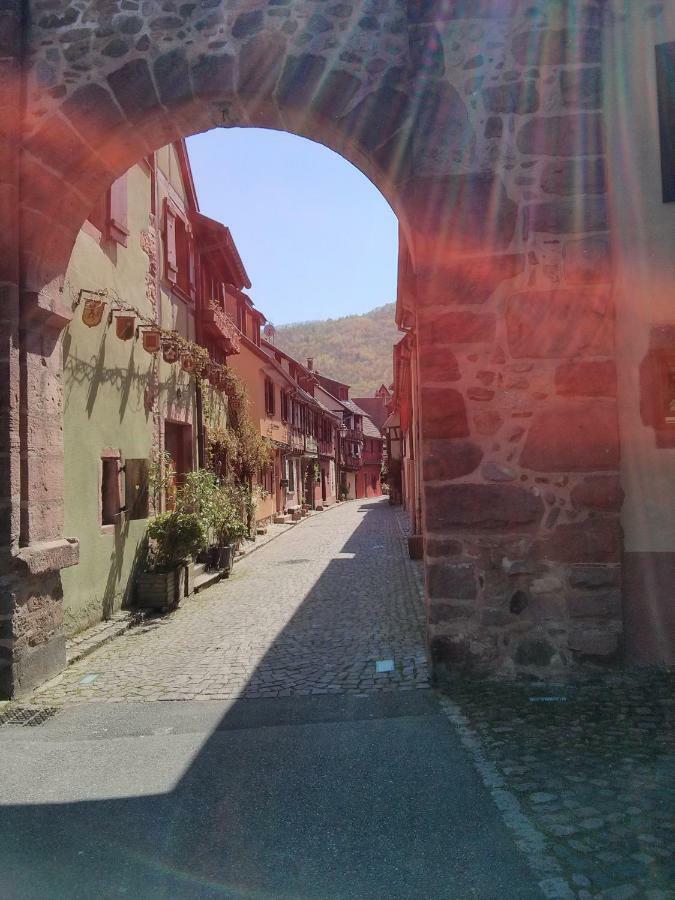 Hotel Marcia Donatti - A L'Ombre Des Coteaux Sao Paulo Kaysersberg-Vignoble Zewnętrze zdjęcie