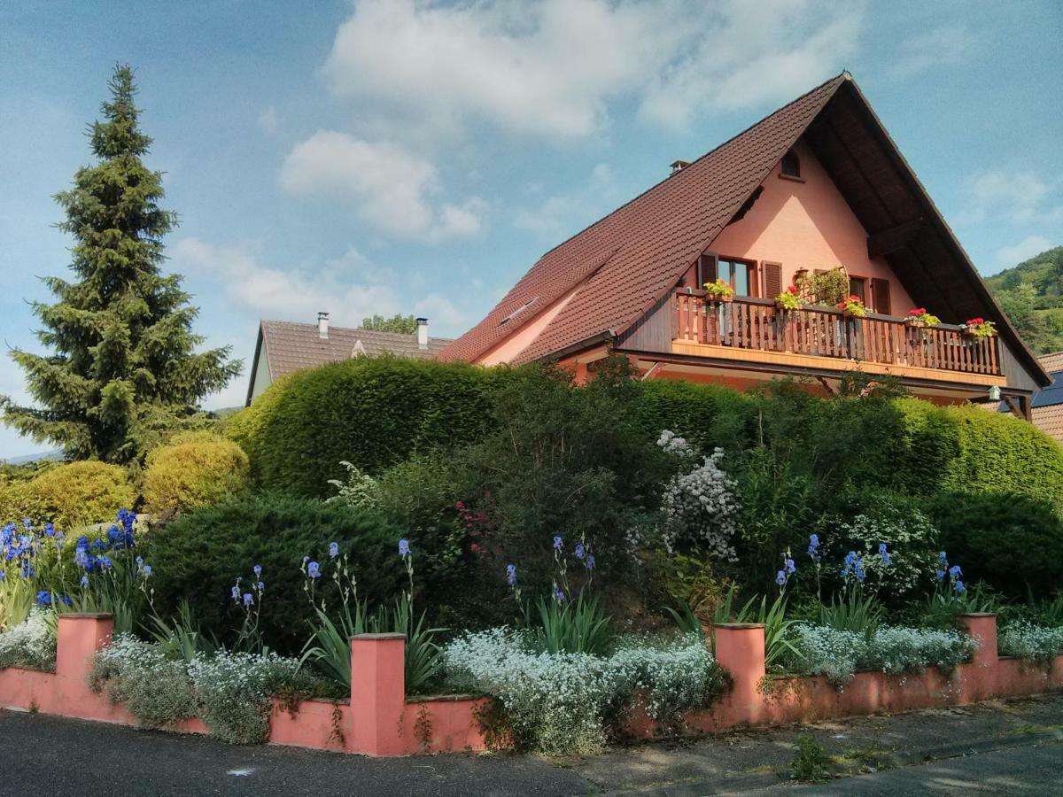 Hotel Marcia Donatti - A L'Ombre Des Coteaux Sao Paulo Kaysersberg-Vignoble Zewnętrze zdjęcie
