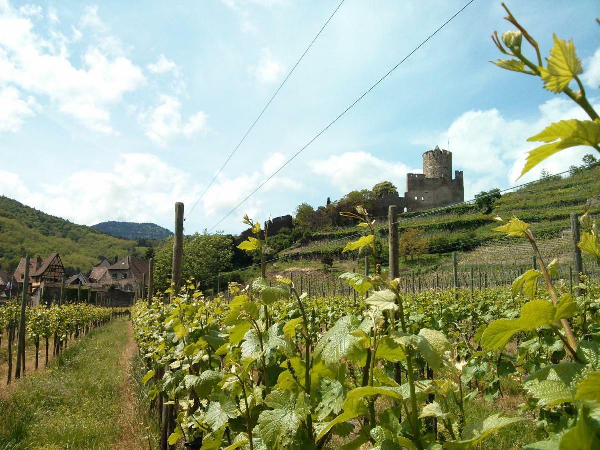 Hotel Marcia Donatti - A L'Ombre Des Coteaux Sao Paulo Kaysersberg-Vignoble Zewnętrze zdjęcie